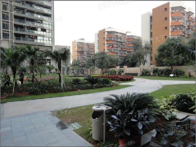 龙岗翡翠明珠花园深圳翡翠明珠价格-第1张图片-翡翠网 龙岗翡翠明珠花园深圳翡翠明珠价格-第1张图片-翡翠网