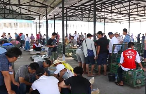 综合基础知识,翡翠基础知识1001翡翠基础知识-第4张图片-翡翠网 综合基础知识,翡翠基础知识1001翡翠基础知识-第4张图片-翡翠网