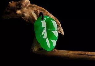 公盘翡翠原石,巴西绿玉翡翠原石图-第1张图片-翡翠网 公盘翡翠原石,巴西绿玉翡翠原石图-第1张图片-翡翠网