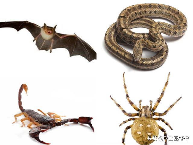 周大生爱琴海系列,珠宝系列名称-第2张图片-翡翠网 周大生爱琴海系列,珠宝系列名称-第2张图片-翡翠网