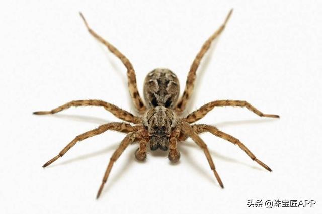 周大生爱琴海系列,珠宝系列名称-第9张图片-翡翠网 周大生爱琴海系列,珠宝系列名称-第9张图片-翡翠网