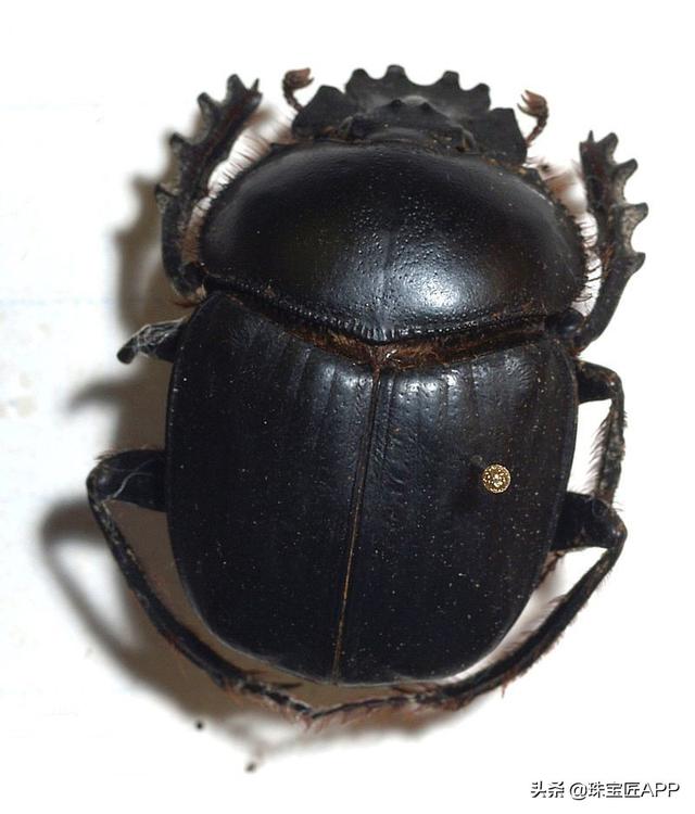 周大生爱琴海系列,珠宝系列名称-第20张图片-翡翠网 周大生爱琴海系列,珠宝系列名称-第20张图片-翡翠网