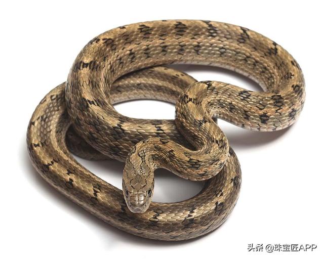 周大生爱琴海系列,珠宝系列名称-第26张图片-翡翠网 周大生爱琴海系列,珠宝系列名称-第26张图片-翡翠网