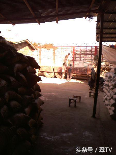 温州松原翡翠交易平台,茂名翡翠原石抛光-第1张图片-翡翠网 温州松原翡翠交易平台,茂名翡翠原石抛光-第1张图片-翡翠网