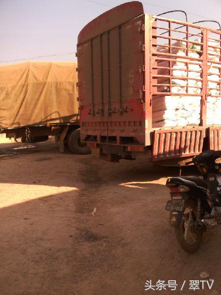 温州松原翡翠交易平台,茂名翡翠原石抛光-第5张图片-翡翠网 温州松原翡翠交易平台,茂名翡翠原石抛光-第5张图片-翡翠网