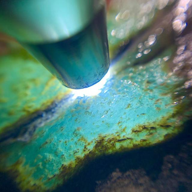 老象皮原石出什么翡翠,莫西沙小象皮翡翠原石-第4张图片-翡翠网 老象皮原石出什么翡翠,莫西沙小象皮翡翠原石-第4张图片-翡翠网