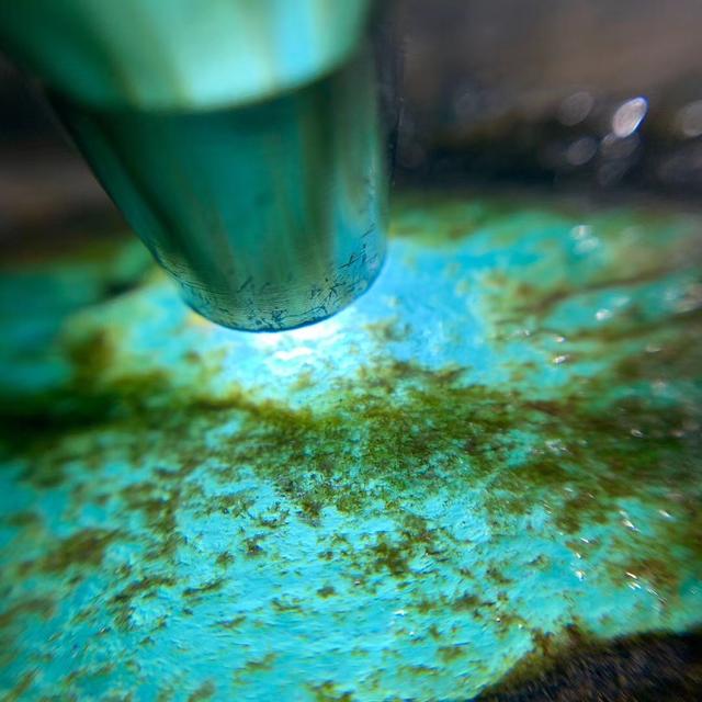 老象皮原石出什么翡翠,莫西沙小象皮翡翠原石-第5张图片-翡翠网 老象皮原石出什么翡翠,莫西沙小象皮翡翠原石-第5张图片-翡翠网