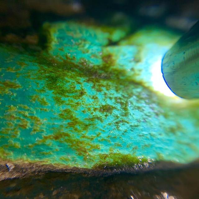 老象皮原石出什么翡翠,莫西沙小象皮翡翠原石-第7张图片-翡翠网 老象皮原石出什么翡翠,莫西沙小象皮翡翠原石-第7张图片-翡翠网