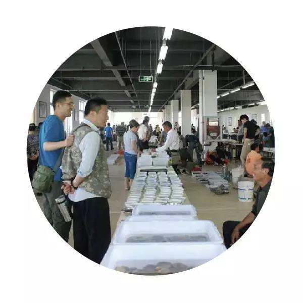 翡翠雨花石的价格,关于雨花石的作文-第4张图片-翡翠网 翡翠雨花石的价格,关于雨花石的作文-第4张图片-翡翠网