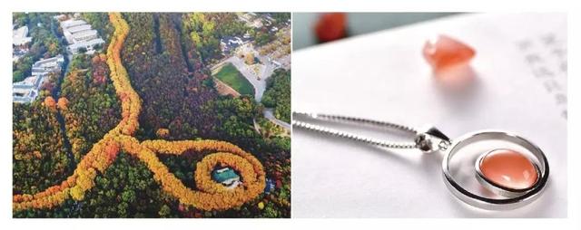 翡翠雨花石的价格,关于雨花石的作文-第14张图片-翡翠网 翡翠雨花石的价格,关于雨花石的作文-第14张图片-翡翠网