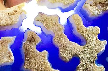 中国哪有翡翠原石产地日本有翡翠原石产地吗-第1张图片-翡翠网 中国哪有翡翠原石产地日本有翡翠原石产地吗-第1张图片-翡翠网