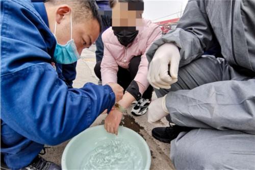 灵云翡翠手镯怎么样,5000元的翡翠手镯是真的吗-第1张图片-翡翠网 灵云翡翠手镯怎么样,5000元的翡翠手镯是真的吗-第1张图片-翡翠网