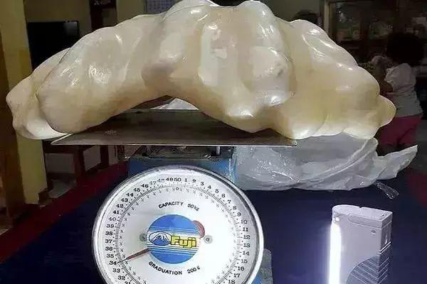 香格里拉翡翠手镯原石,香格里拉文成珠宝骗局-第3张图片-翡翠网 香格里拉翡翠手镯原石,香格里拉文成珠宝骗局-第3张图片-翡翠网