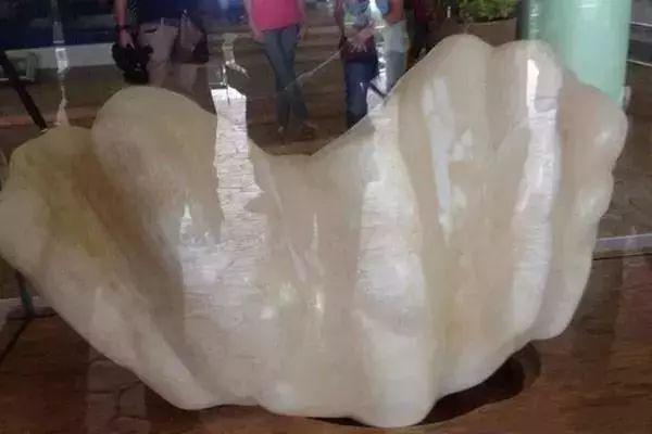 香格里拉翡翠手镯原石,香格里拉文成珠宝骗局-第4张图片-翡翠网 香格里拉翡翠手镯原石,香格里拉文成珠宝骗局-第4张图片-翡翠网