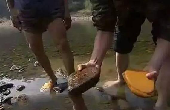 原石翡翠交易,寻宝价值5亿翡翠原石-第8张图片-翡翠网 原石翡翠交易,寻宝价值5亿翡翠原石-第8张图片-翡翠网