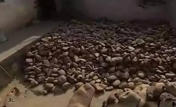 原石翡翠交易,寻宝价值5亿翡翠原石-第9张图片-翡翠网 原石翡翠交易,寻宝价值5亿翡翠原石-第9张图片-翡翠网