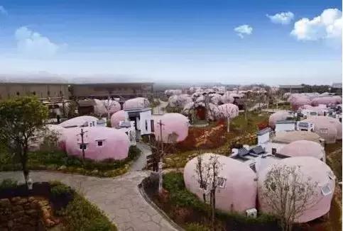 六鳌翡翠湾图片,漳州六鳌翡翠湾蜂巢庭院价格-第20张图片-翡翠网 六鳌翡翠湾图片,漳州六鳌翡翠湾蜂巢庭院价格-第20张图片-翡翠网