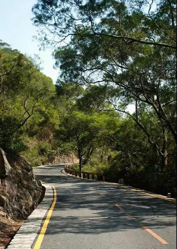 六鳌翡翠湾图片,漳州六鳌翡翠湾蜂巢庭院价格-第35张图片-翡翠网 六鳌翡翠湾图片,漳州六鳌翡翠湾蜂巢庭院价格-第35张图片-翡翠网