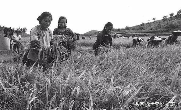 10克拉钻石值多少人民币,110克拉钻石价格-第4张图片-翡翠网 10克拉钻石值多少人民币,110克拉钻石价格-第4张图片-翡翠网