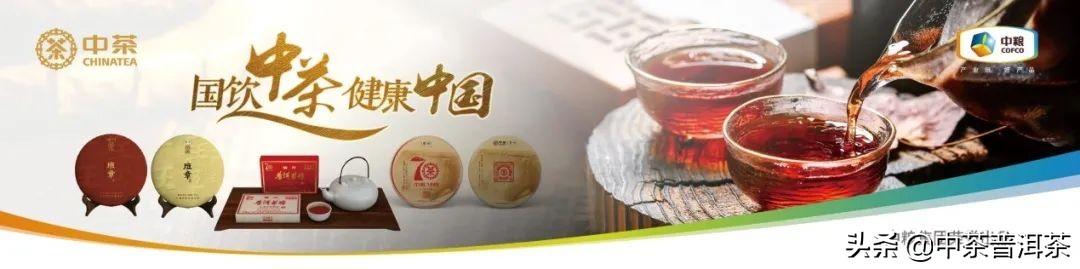 中茶普洱茶吧百度贴吧中茶翡翠白菜价格-第5张图片-翡翠网 中茶普洱茶吧百度贴吧中茶翡翠白菜价格-第5张图片-翡翠网