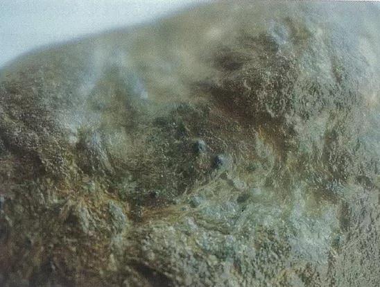 翡翠原石赌石技巧图解,读翡翠原石-第6张图片-翡翠网 翡翠原石赌石技巧图解,读翡翠原石-第6张图片-翡翠网