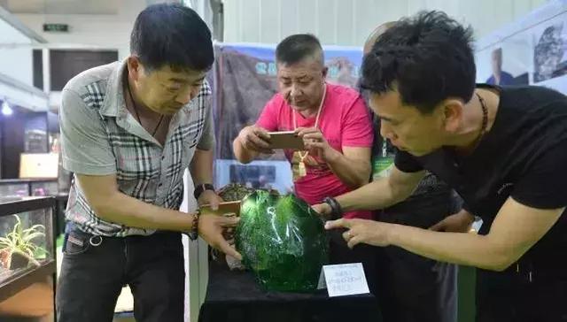 冰种和玻璃种哪个好玻璃种祖母绿翡翠价格-第2张图片-翡翠网 冰种和玻璃种哪个好玻璃种祖母绿翡翠价格-第2张图片-翡翠网