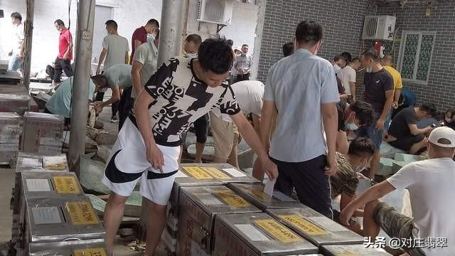 四会成品翡翠价格翡翠原石和成品对比-第4张图片-翡翠网 四会成品翡翠价格翡翠原石和成品对比-第4张图片-翡翠网