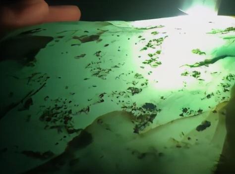 莫西沙铁锈皮图片漠西沙铁锈皮翡翠原石-第3张图片-翡翠网 莫西沙铁锈皮图片漠西沙铁锈皮翡翠原石-第3张图片-翡翠网