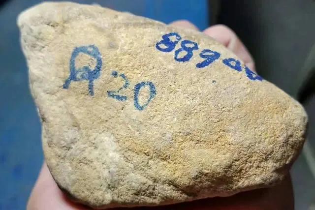 缅甸翡翠原石价格,翡翠原石价格多少钱-第1张图片-翡翠网 缅甸翡翠原石价格,翡翠原石价格多少钱-第1张图片-翡翠网