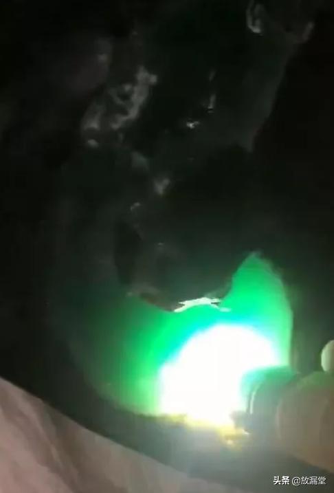 捡到翡翠原石搞笑视频哪里可以捡到翡翠原石-第2张图片-翡翠网 捡到翡翠原石搞笑视频哪里可以捡到翡翠原石-第2张图片-翡翠网