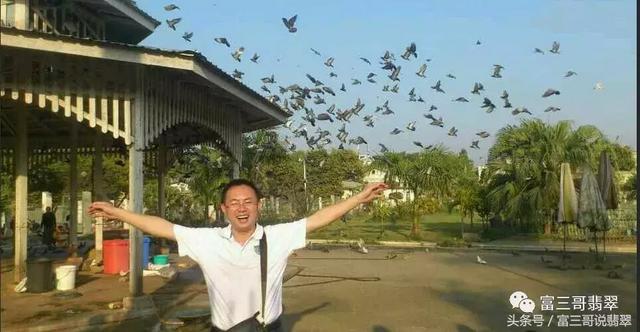 包含翡翠入行-金三角知识的词条-第1张图片-翡翠网 包含翡翠入行-金三角知识的词条-第1张图片-翡翠网