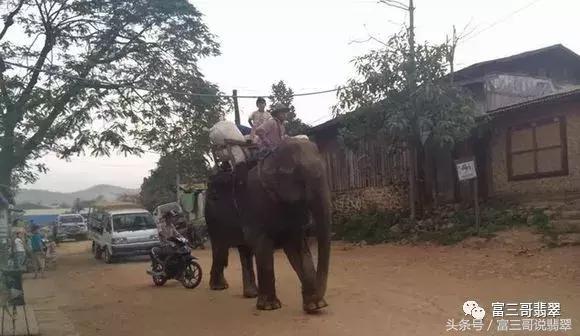 包含翡翠入行-金三角知识的词条-第13张图片-翡翠网 包含翡翠入行-金三角知识的词条-第13张图片-翡翠网