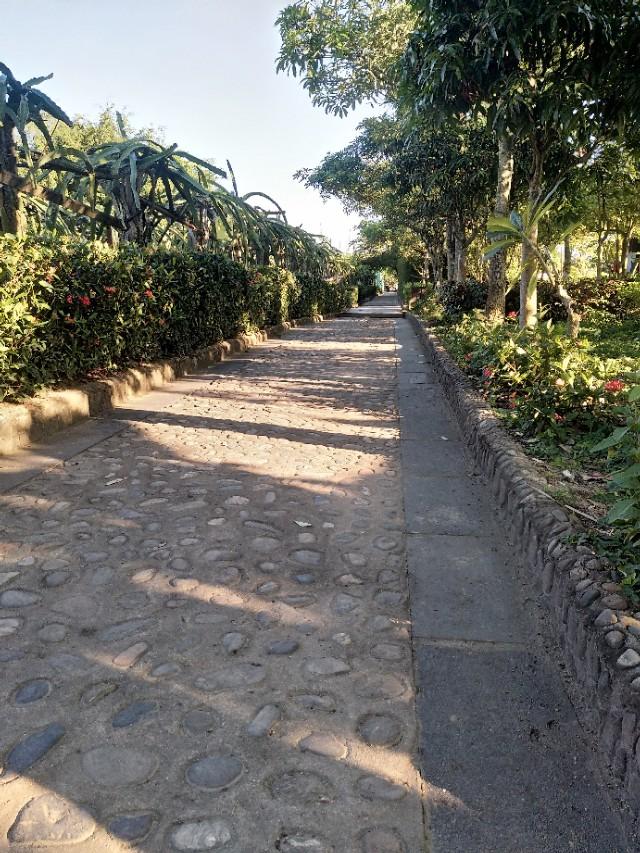 翡翠原石帝王绿180亿,翡翠原石知识资料书集-第1张图片-翡翠网 翡翠原石帝王绿180亿,翡翠原石知识资料书集-第1张图片-翡翠网