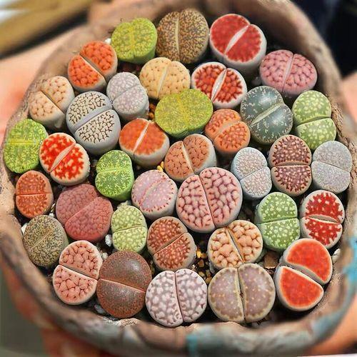 真正蚕丝被的价格,蚕丝被鉴别翡翠知识-第25张图片-翡翠网 真正蚕丝被的价格,蚕丝被鉴别翡翠知识-第25张图片-翡翠网