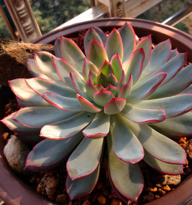 真正蚕丝被的价格,蚕丝被鉴别翡翠知识-第43张图片-翡翠网 真正蚕丝被的价格,蚕丝被鉴别翡翠知识-第43张图片-翡翠网