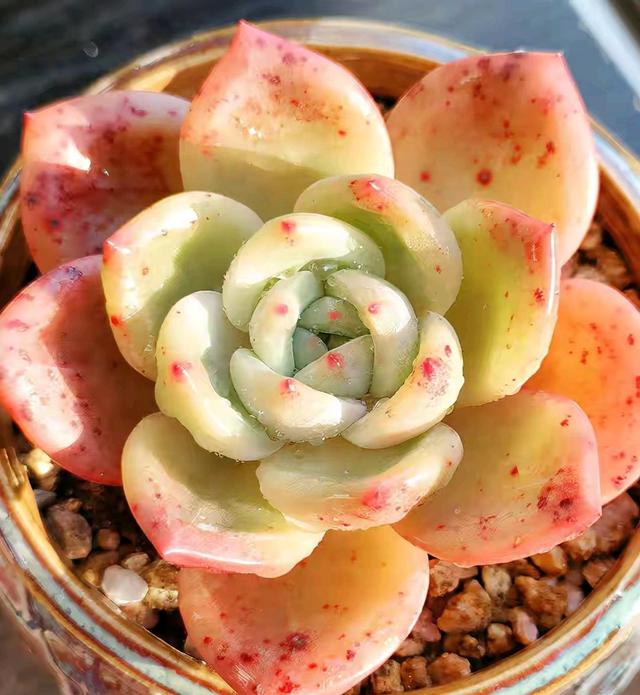 真正蚕丝被的价格,蚕丝被鉴别翡翠知识-第55张图片-翡翠网 真正蚕丝被的价格,蚕丝被鉴别翡翠知识-第55张图片-翡翠网