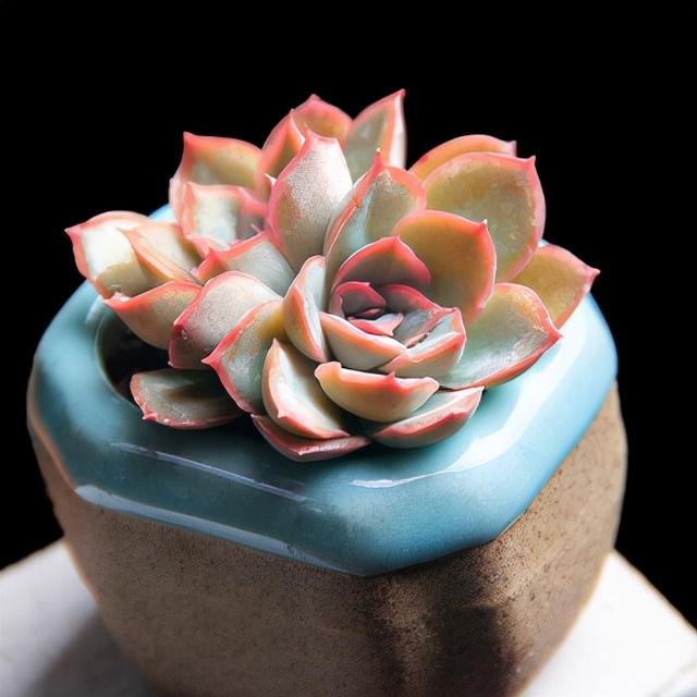 真正蚕丝被的价格,蚕丝被鉴别翡翠知识-第84张图片-翡翠网 真正蚕丝被的价格,蚕丝被鉴别翡翠知识-第84张图片-翡翠网