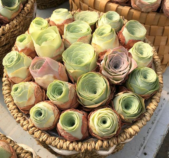 真正蚕丝被的价格,蚕丝被鉴别翡翠知识-第92张图片-翡翠网 真正蚕丝被的价格,蚕丝被鉴别翡翠知识-第92张图片-翡翠网