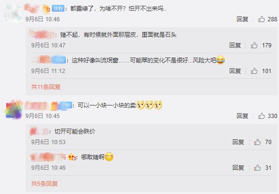 山西切垮的翡翠原石,切垮最大的翡翠原石-第8张图片-翡翠网 山西切垮的翡翠原石,切垮最大的翡翠原石-第8张图片-翡翠网