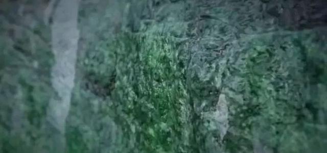 山西切垮的翡翠原石,切垮最大的翡翠原石-第16张图片-翡翠网 山西切垮的翡翠原石,切垮最大的翡翠原石-第16张图片-翡翠网