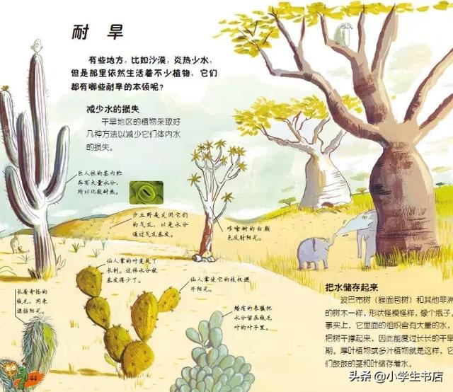 秋眉翡翠实用翡翠学翡翠知识科普类书籍-第37张图片-翡翠网