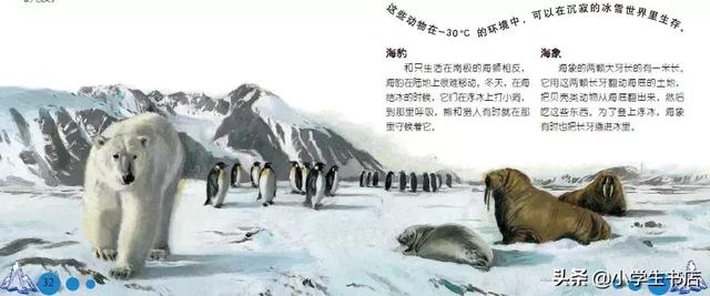 秋眉翡翠实用翡翠学翡翠知识科普类书籍-第38张图片-翡翠网