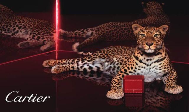 卡地亚钻石项链官网周大福钻石项链价格-第1张图片-翡翠网 卡地亚钻石项链官网周大福钻石项链价格-第1张图片-翡翠网