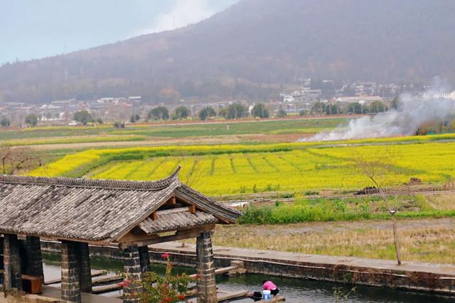 翡翠老字号价格洋河老字号元字号价格-第1张图片-翡翠网