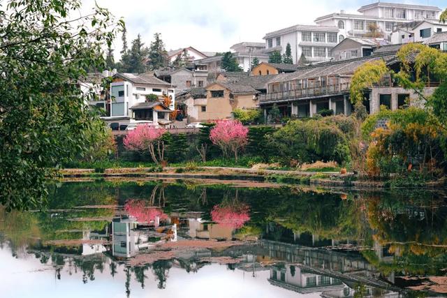 翡翠老字号价格洋河老字号元字号价格-第3张图片-翡翠网