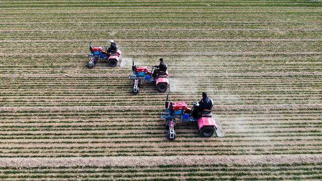 去哪买翡翠原石淄博哪里买翡翠原石-第1张图片-翡翠网 去哪买翡翠原石淄博哪里买翡翠原石-第1张图片-翡翠网