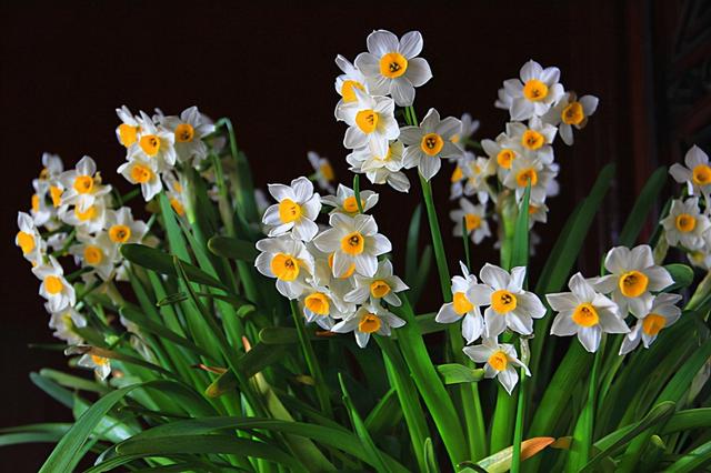 乳种翡翠知识入门翡翠基础知识入门-第7张图片-翡翠网 乳种翡翠知识入门翡翠基础知识入门-第7张图片-翡翠网