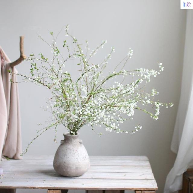 乳种翡翠知识入门翡翠基础知识入门-第18张图片-翡翠网 乳种翡翠知识入门翡翠基础知识入门-第18张图片-翡翠网