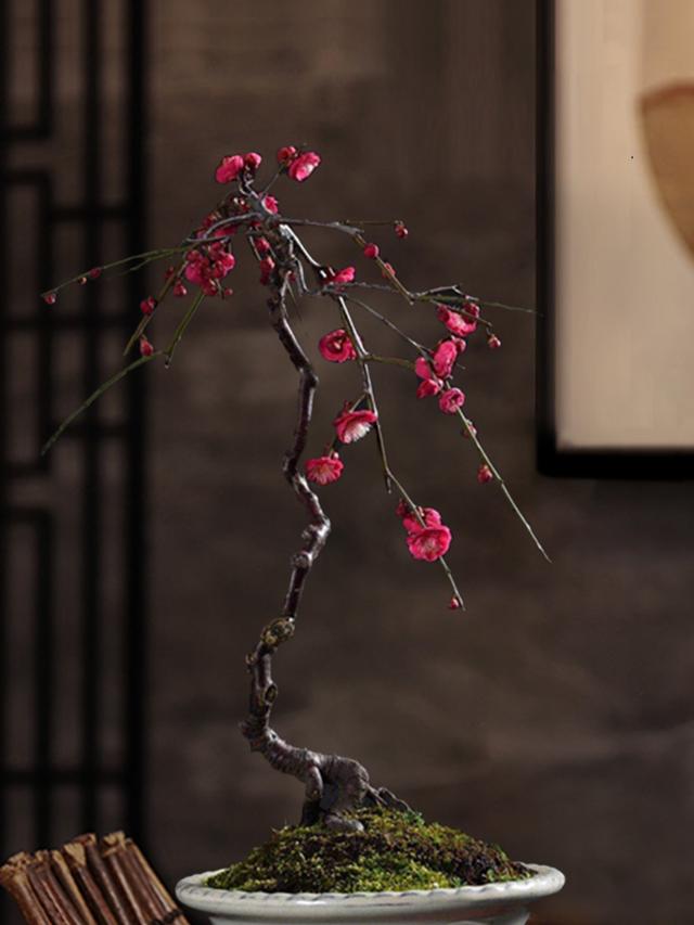 乳种翡翠知识入门翡翠基础知识入门-第22张图片-翡翠网 乳种翡翠知识入门翡翠基础知识入门-第22张图片-翡翠网