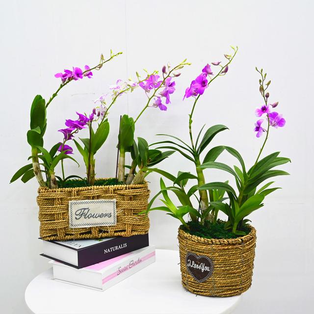 乳种翡翠知识入门翡翠基础知识入门-第43张图片-翡翠网 乳种翡翠知识入门翡翠基础知识入门-第43张图片-翡翠网